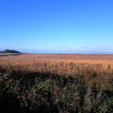 5 Person In Skjern-by Traum Skjern