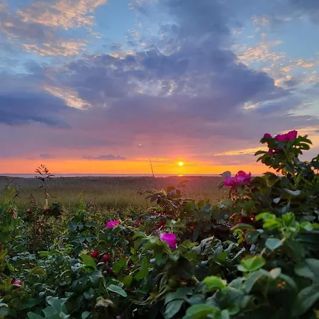 5 Person In Skjern-by Traum * Skjern