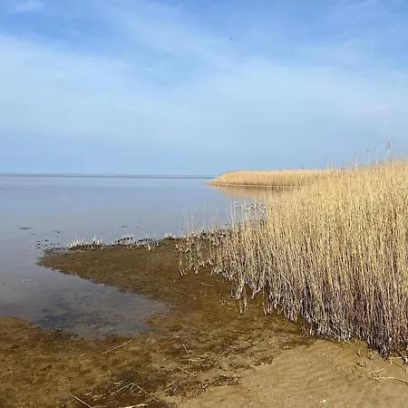 5 Person In Skjern-by Traum 別荘 *